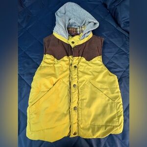 Yellow and Brown Hooded Vest with Gray Hood